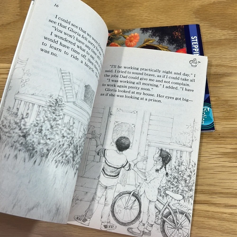 Kids Chapter Books Bundle Chalk Box Kid Julian's Glorious Summer The Littles